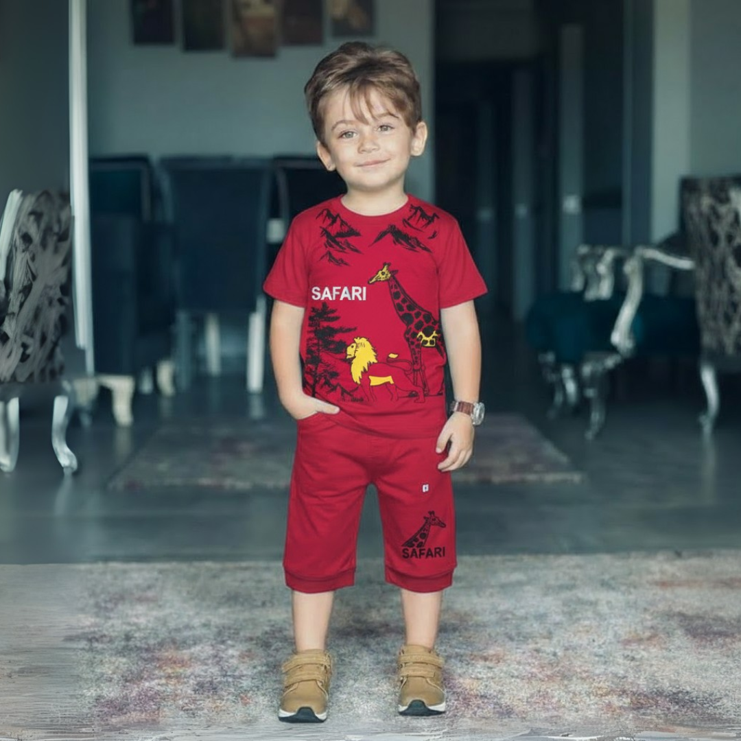 Boy's Summer T-Shirt & Shorts Sets