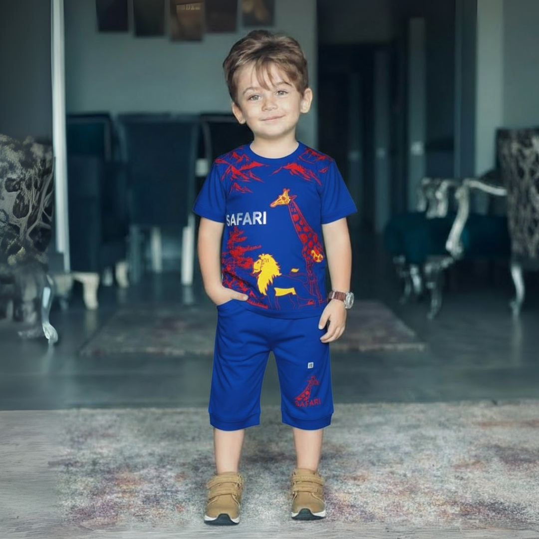 Boy's Summer T-Shirt & Shorts Sets