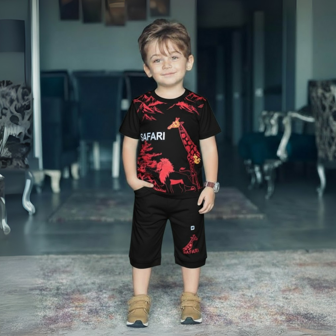 Boy's Summer T-Shirt & Shorts Sets