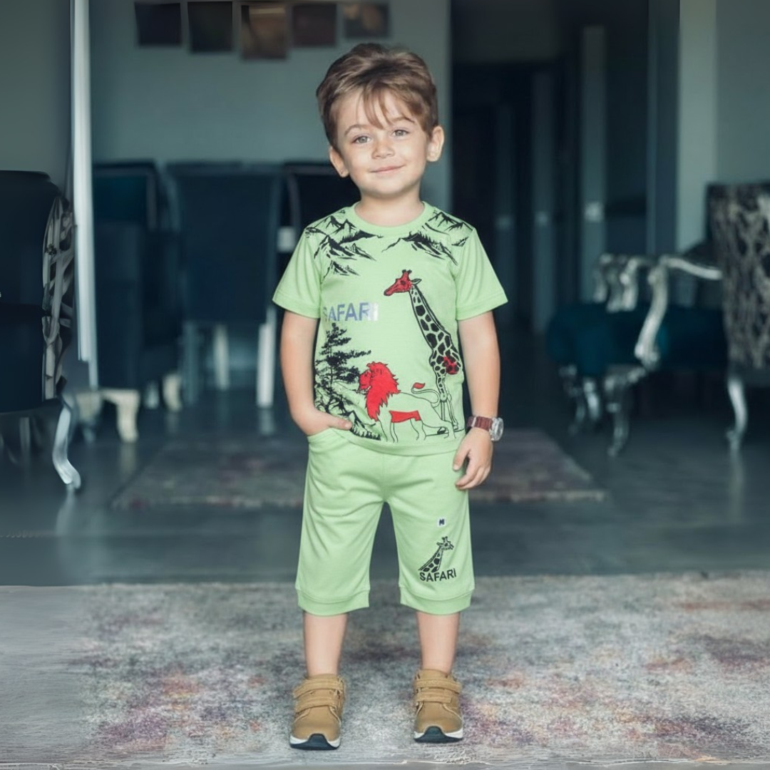 Boy's Summer T-Shirt & Shorts Sets